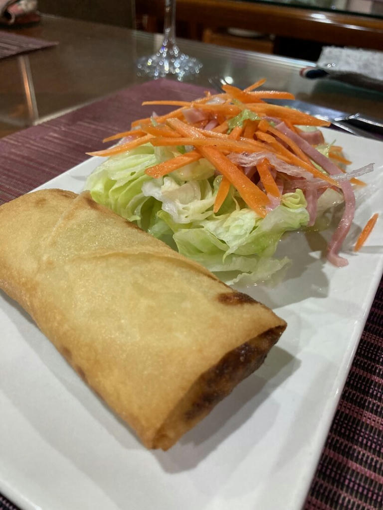 Salad with spring roll - February 2023