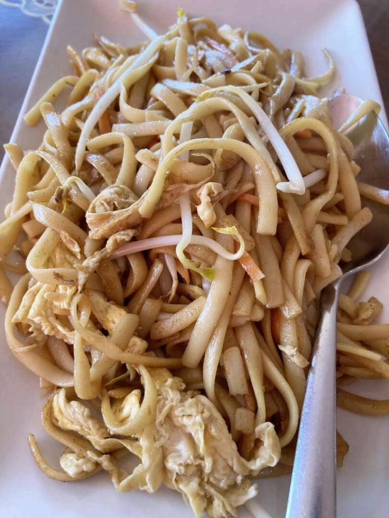 Fried Noodles- July 2023