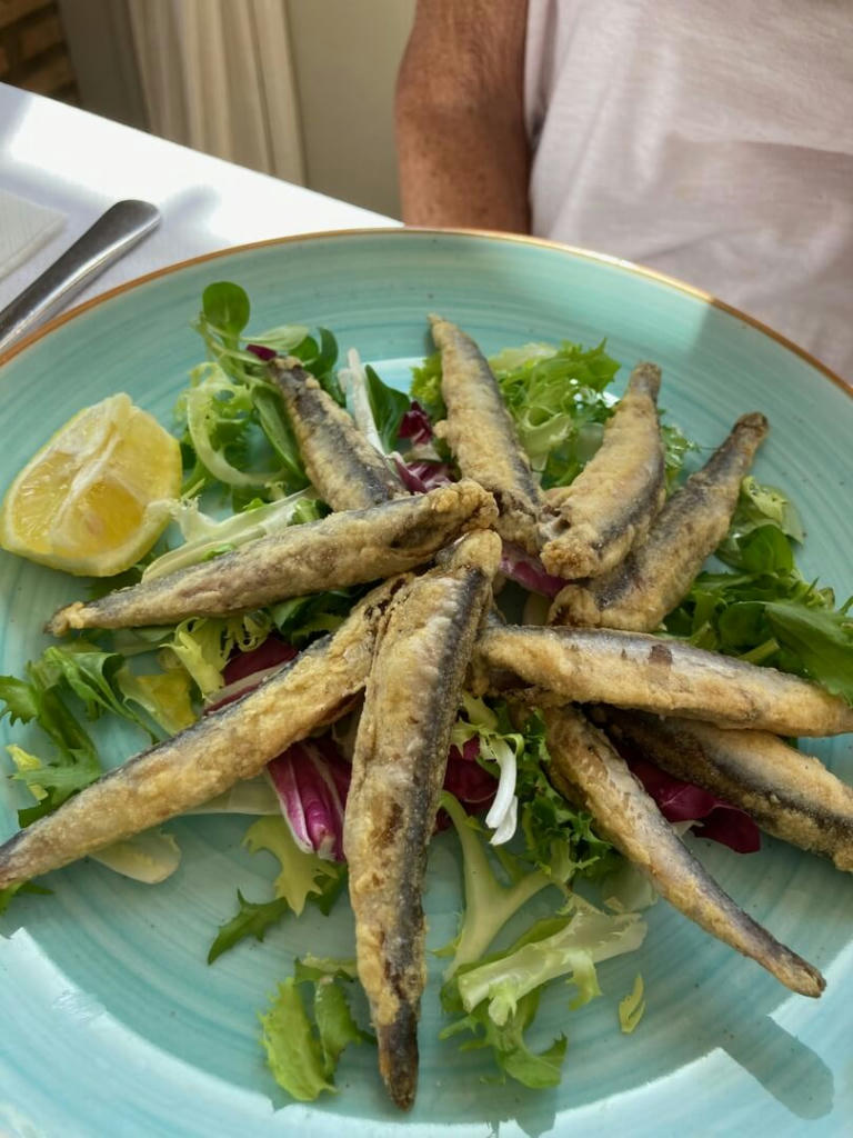 BOQUERONES FRITOS (Fried anchovies) - March 2023