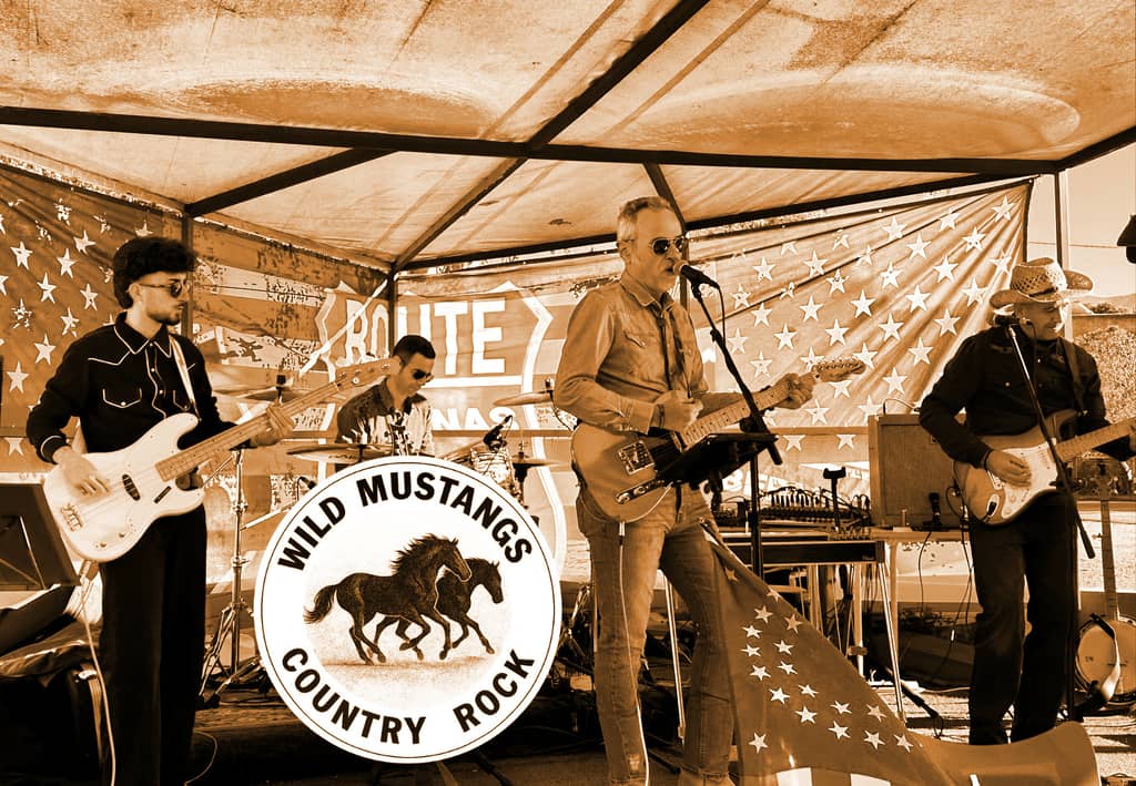 Photo of Wild Mustangs